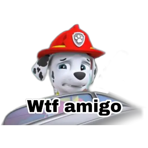 Paw patrol 