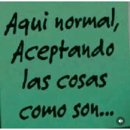 frases mamonas