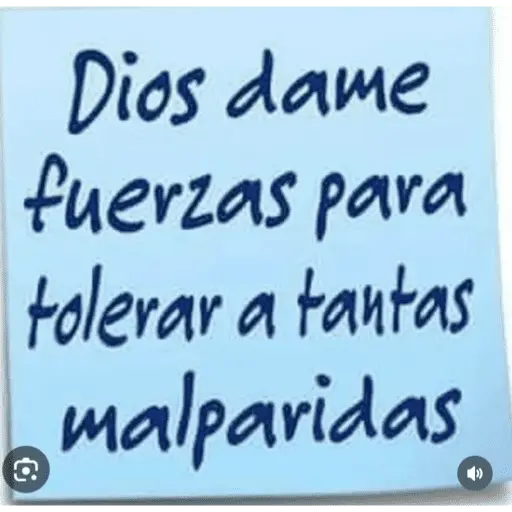 frases mamonas