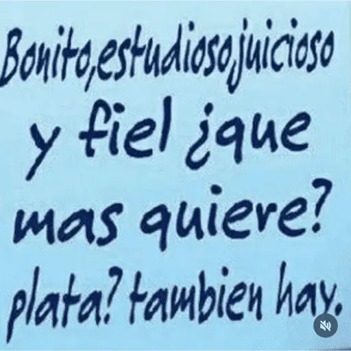 frases mamonas