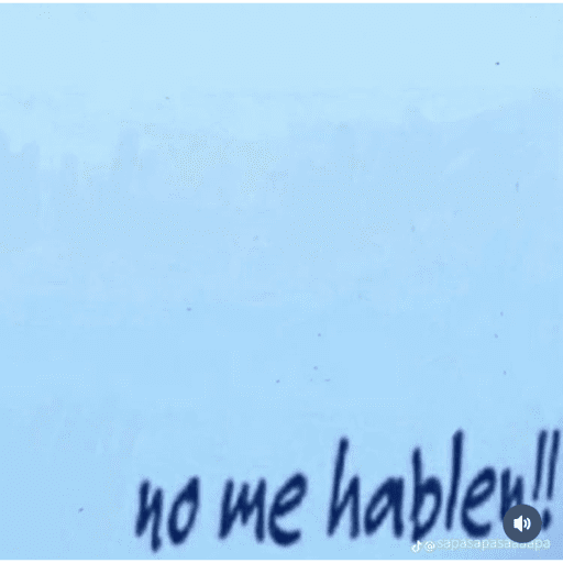 frases mamonas preview