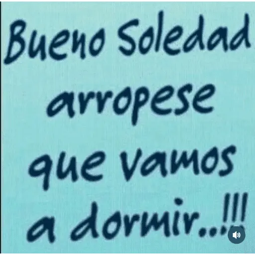 frases mamonas