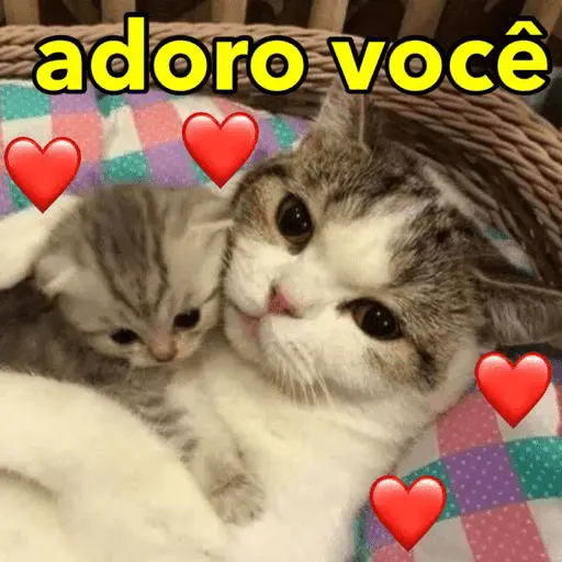 PARA OS NAMORADOS 💕
