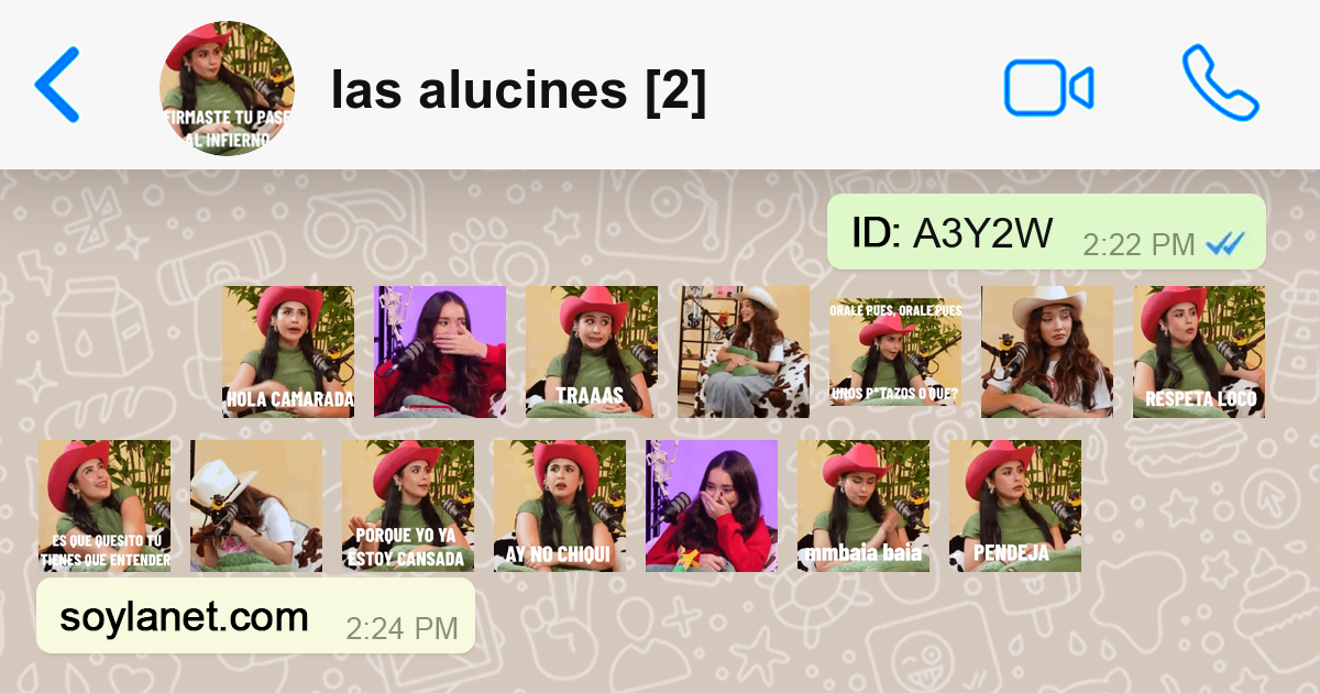 Stickers las alucines [2] 🌵💖 para WhatsApp y Telegram | SoylaNet