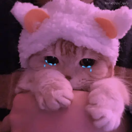 Llorando ando 🥺😔😭