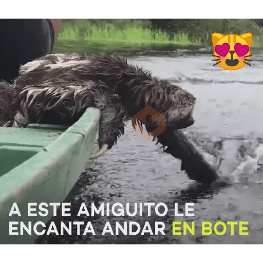 no lo se tu dime sticker 27