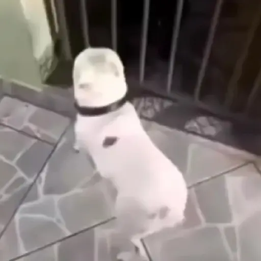 😎 Fuera fuera depresión 🍻