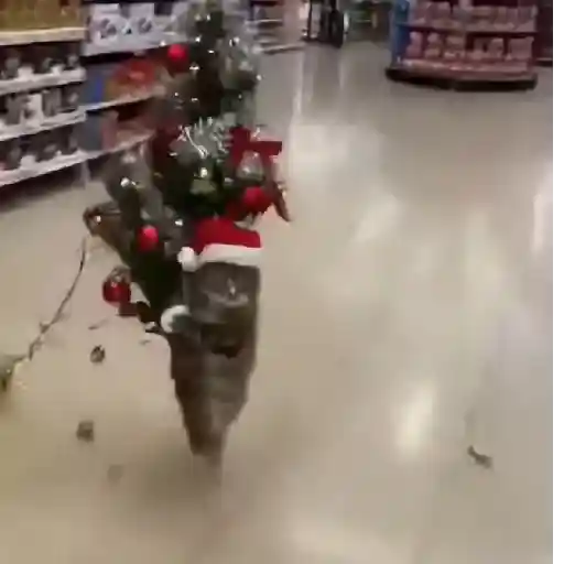 memes diciembre 