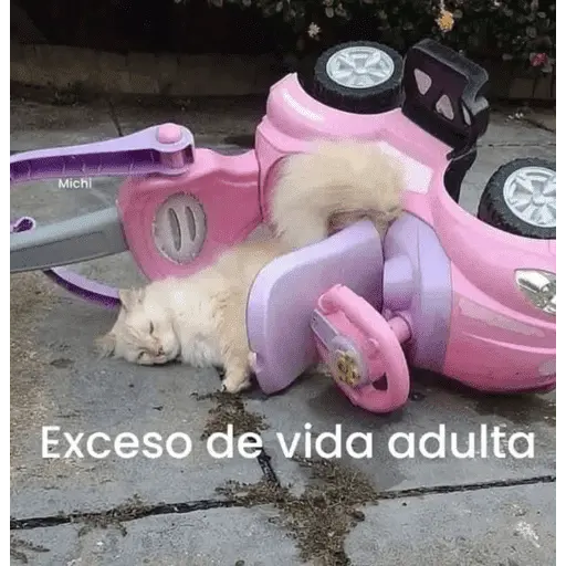 😌 ANIMALITOS SHITPOST 😌