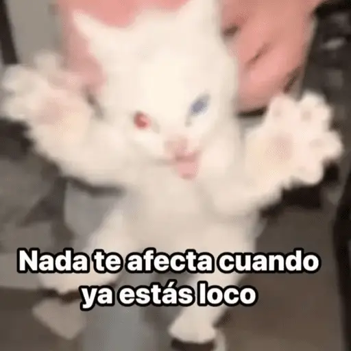 😌 ANIMALITOS SHITPOST 😌