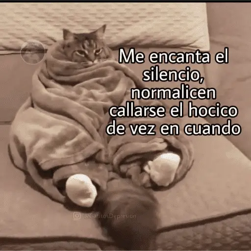 😌 ANIMALITOS SHITPOST 😌