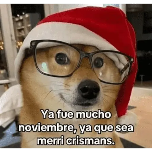 😌 ANIMALITOS SHITPOST 😌