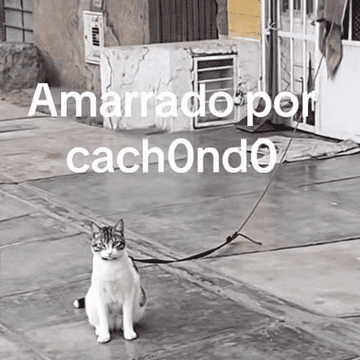 😌 ANIMALITOS SHITPOST 😌 preview