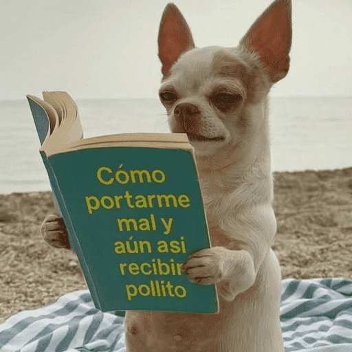 😌 ANIMALITOS SHITPOST 😌 preview