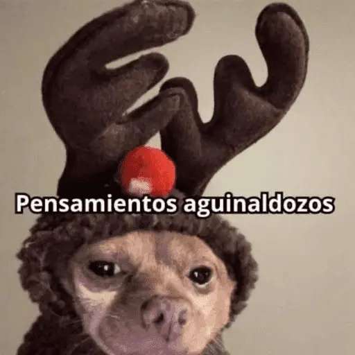 😌 ANIMALITOS SHITPOST 😌