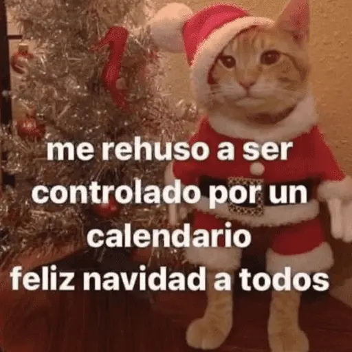 😌 ANIMALITOS SHITPOST 😌
