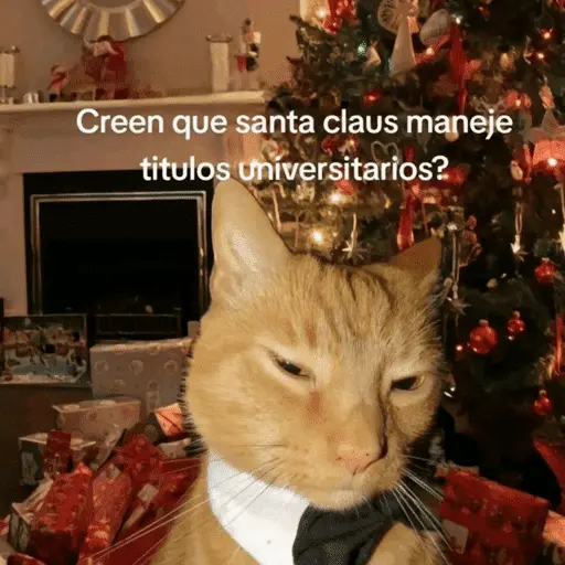 😌 ANIMALITOS SHITPOST 😌