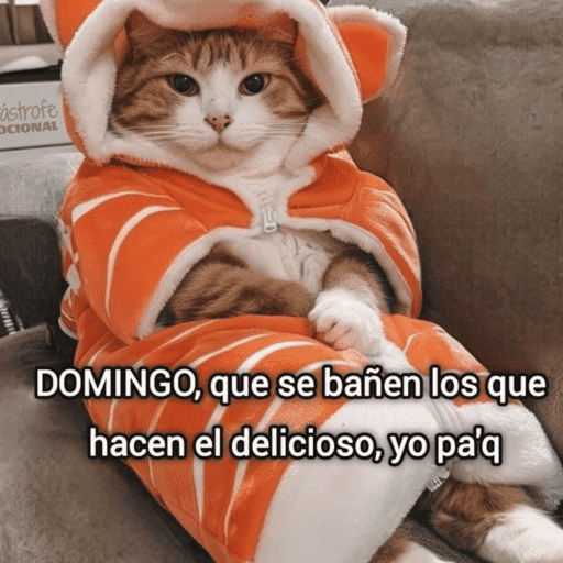 😌 ANIMALITOS SHITPOST 😌 preview