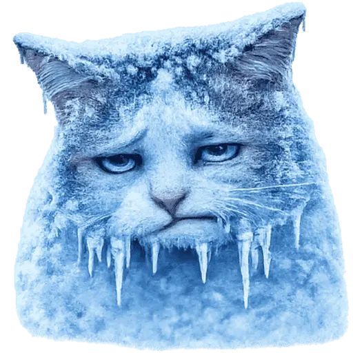  FRÍO Michi Congelado❄️❄️
