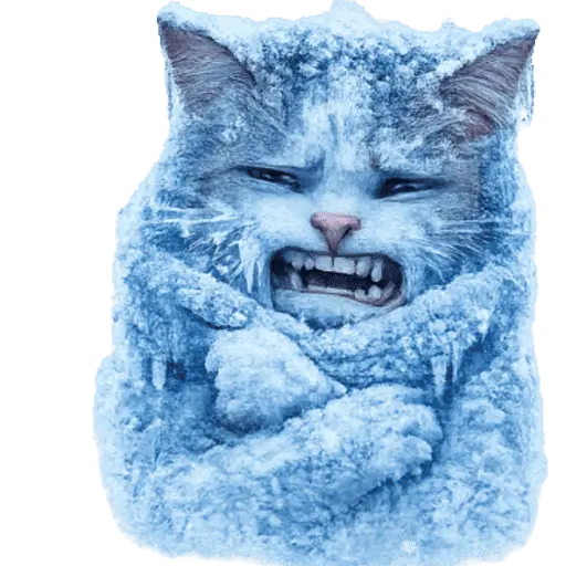 FRÍO Michi Congelado❄️❄️