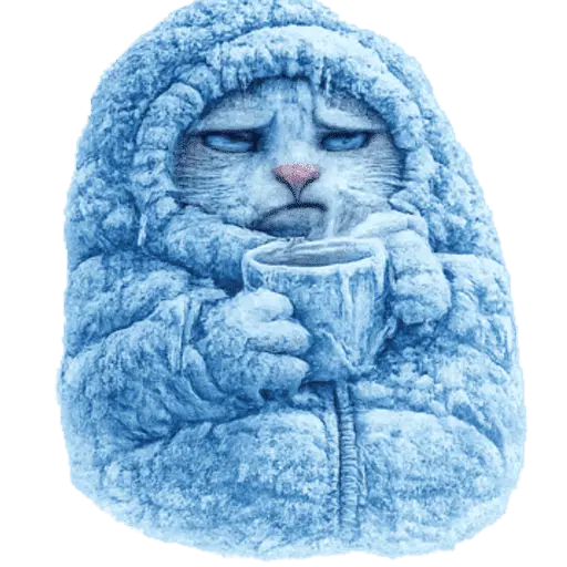  FRÍO Michi Congelado❄️❄️