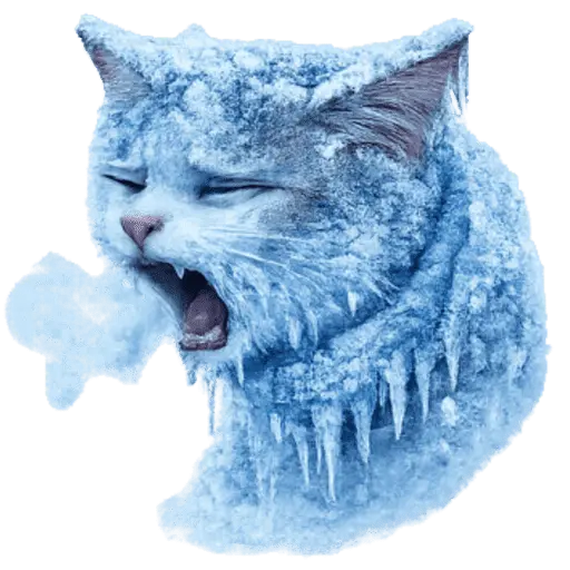  FRÍO Michi Congelado❄️❄️