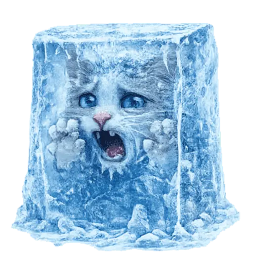 FRÍO Michi Congelado❄️❄️