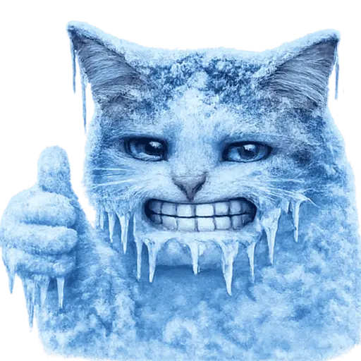  FRÍO Michi Congelado❄️❄️