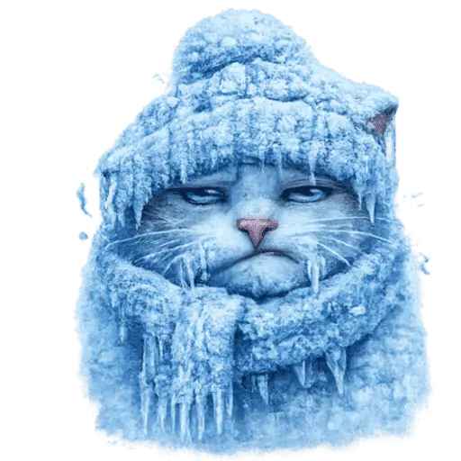  FRÍO Michi Congelado❄️❄️