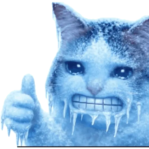  FRÍO Michi Congelado❄️❄️