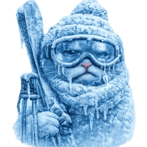  FRÍO Michi Congelado❄️❄️