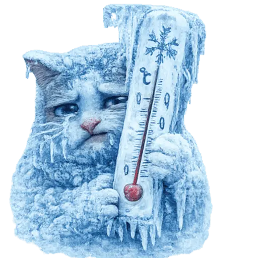  FRÍO Michi Congelado❄️❄️