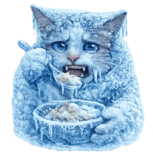  FRÍO Michi Congelado❄️❄️