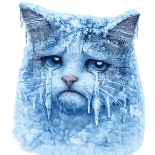  FRÍO Michi Congelado❄️❄️
