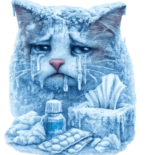  FRÍO Michi Congelado❄️❄️