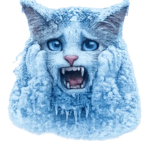  FRÍO Michi Congelado❄️❄️