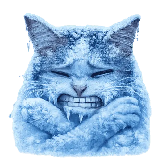  FRÍO Michi Congelado❄️❄️