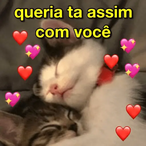 Amor | Reações ❤️