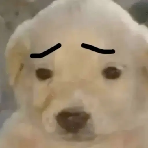 🐶🐕🦴PERRITOS | DOGS 2🦴🐕🐶