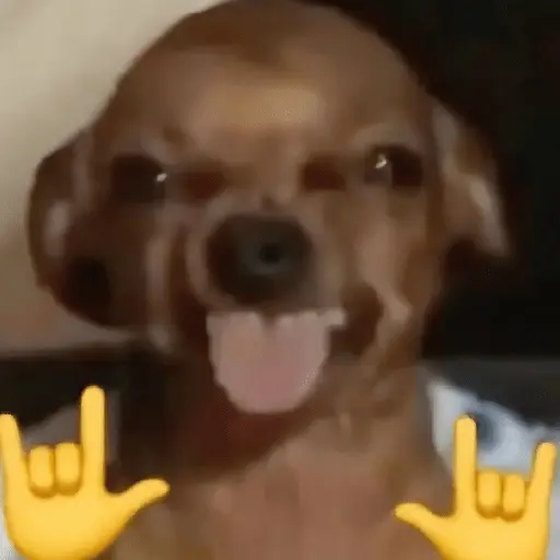 🐶🐕🦴PERRITOS | DOGS 2🦴🐕🐶