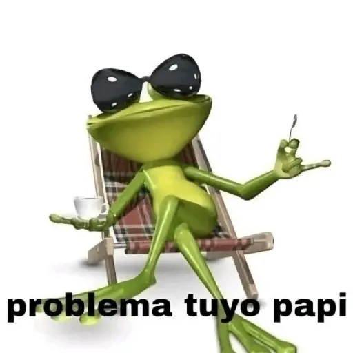 Meme | Problema tuyo 🐸🕶