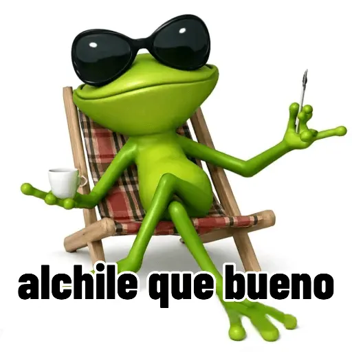 Meme | Problema tuyo 🐸🕶