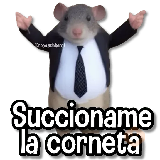 Memes Finos 4😎🪄 sticker 16