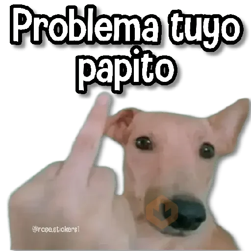 Memes Finos 4😎🪄 sticker 14