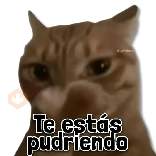 👾 COMBO de Stickers #➊➑ sticker 15
