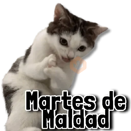 👾 COMBO de Stickers #➊➑ sticker 13
