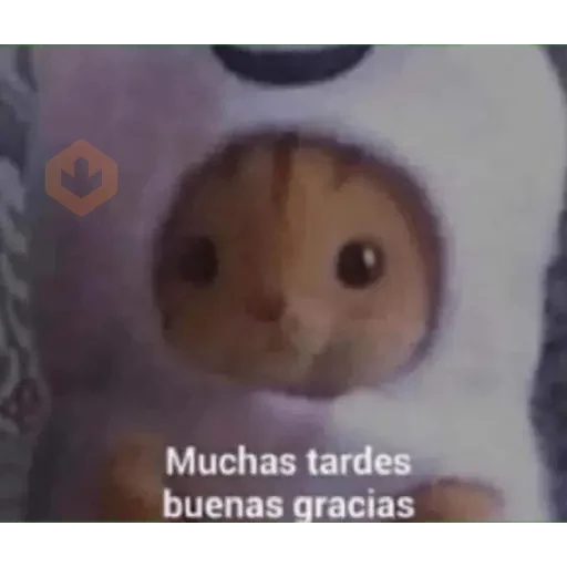 chihuahua sticker 11