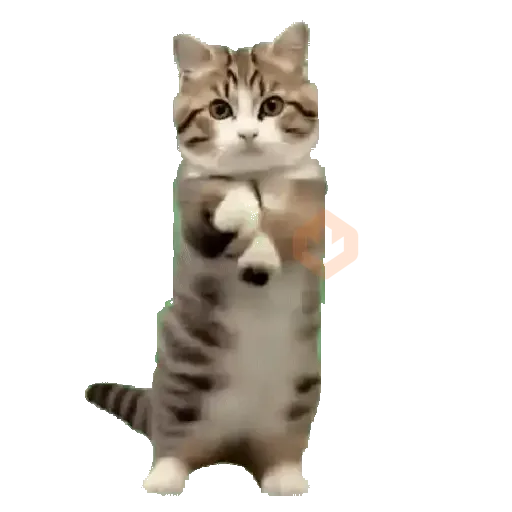 ✨️🎵 TIKTOK Comments 1🎵✨️ sticker 21