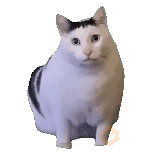✨️🎵 TIKTOK Comments 1🎵✨️ sticker 15
