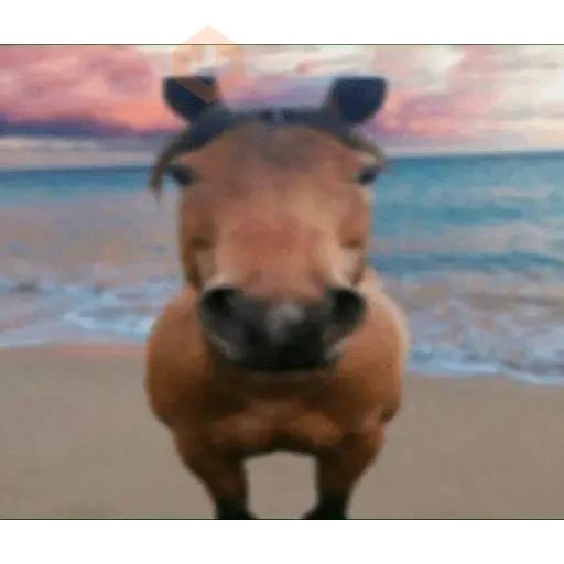 MEME TIKTOK VIRAL sticker 30